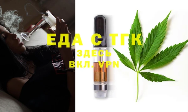 индика Карпинск
