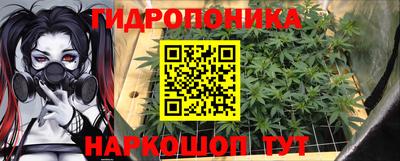 сатива Сланцы