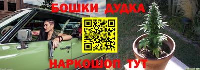 стаф Славгород