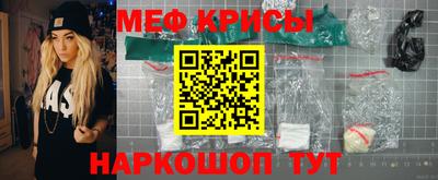 стаф Славгород