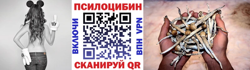 Галлюциногенные грибы прущие грибы  где найти наркотики  Арзамас 