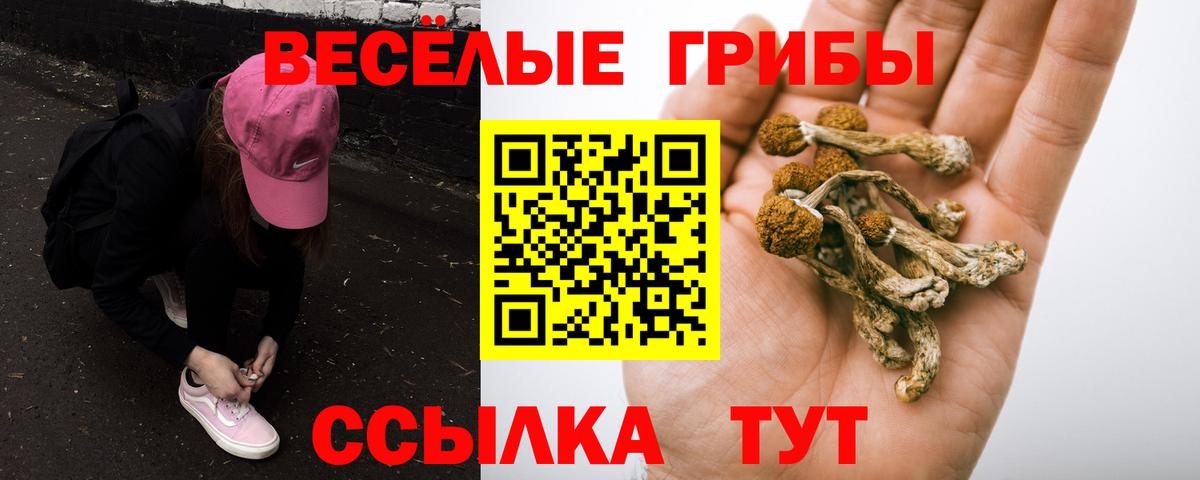 Арзамас  Галлюциногенные грибы MAGIC MUSHROOMS  Вход с VPN 