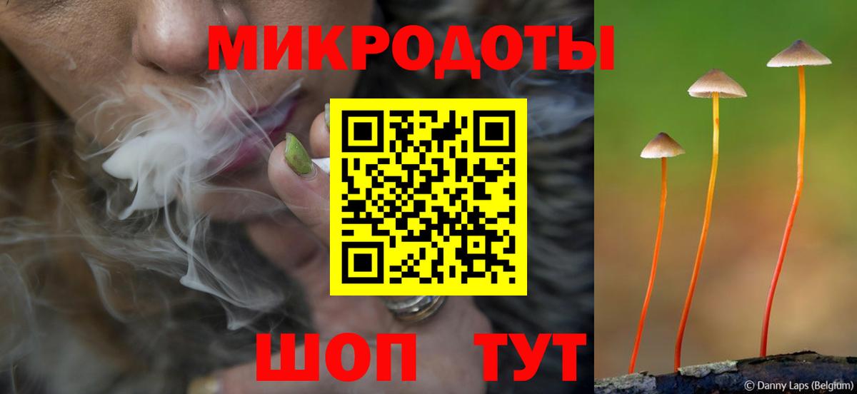 Галлюциногенные грибы Psilocybe Арзамас